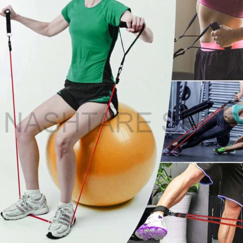 Fitness Equipment 11pcss | معدات لياقة بدنية - Image 3