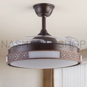 Ceiling Light With Fan